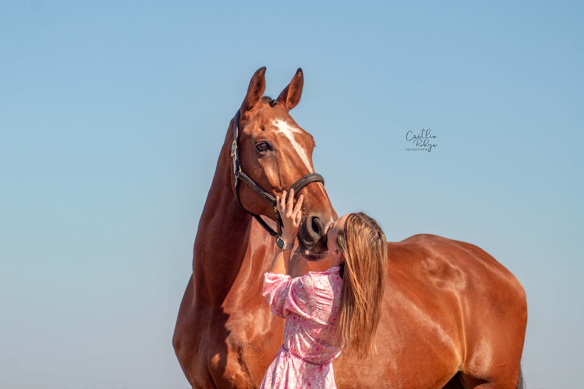 Vrouw geeft haar paard een kus in het veld