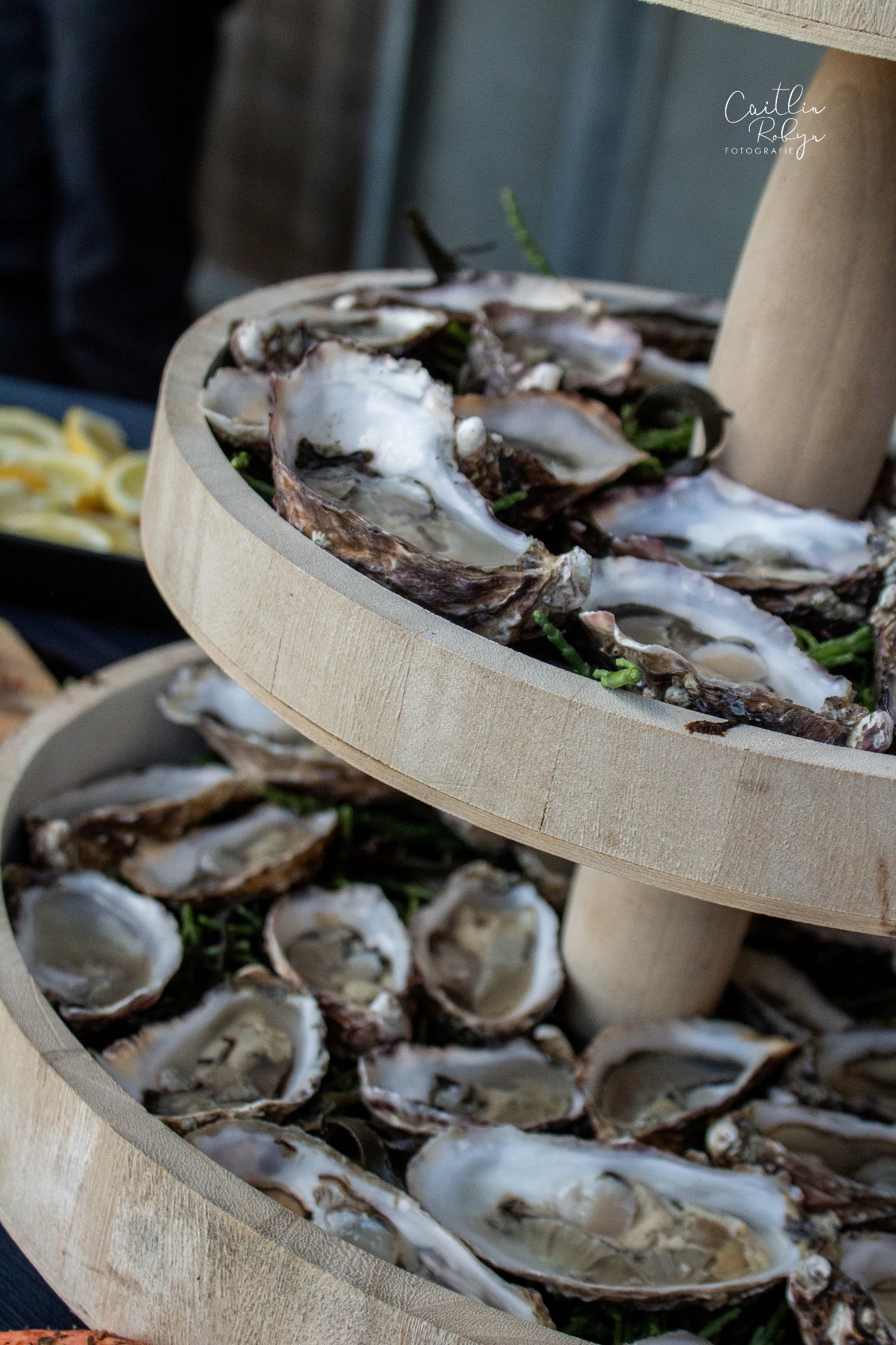 Oesters gepresenteerd als luxe catering op een event